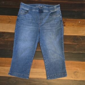 Gloria Vanderbilt Blue Ankle Jeans